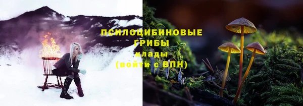 эйфоретик Алзамай