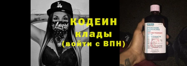эйфоретик Алзамай